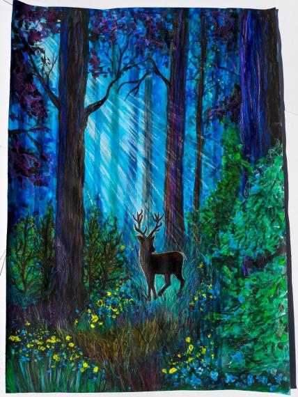 Capotă Andra - Feerie