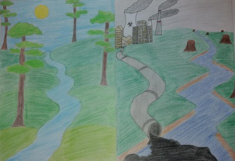 Constandache Lavinia