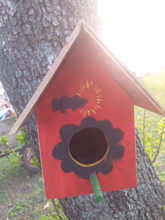 Balaban Denisa, Poiana