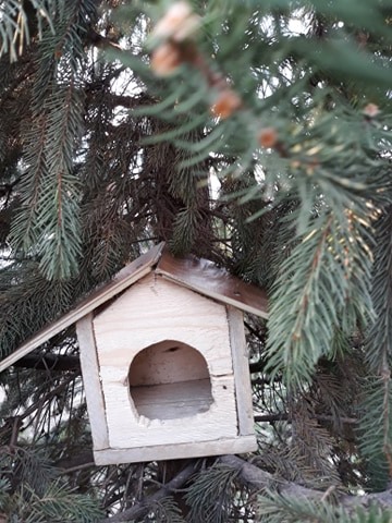 Chiriac Luiza Antonia, Poiana