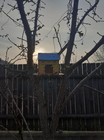 Corcaci Raul, Drăgănești