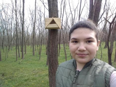 Druță Alina, Drăgănești