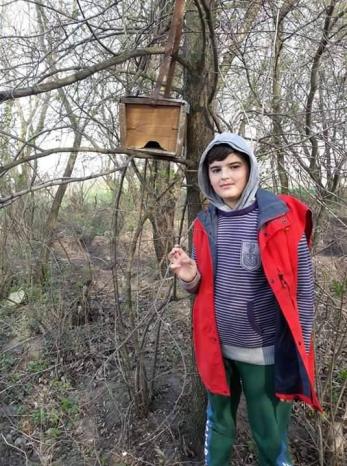 Lazăr Mihai, Drăgănești