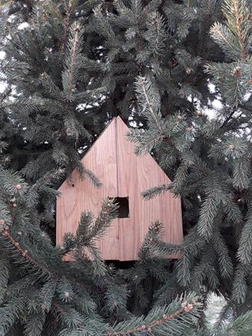 Lupoaie Denis, Poiana