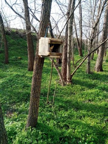 Lupu Mihaela, Munteni