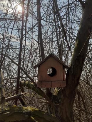 Mandea Andreea, Drăgănești