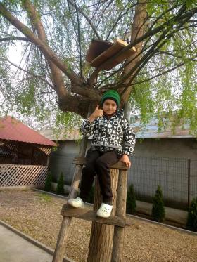 Mitache Ion, Drăgănești