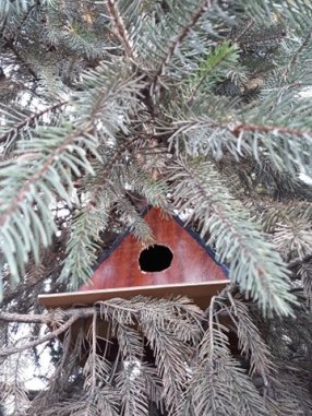 Spiridon Melissa, Poiana