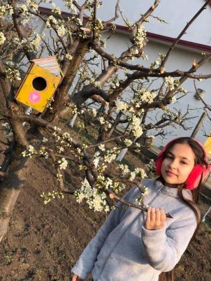 Stan Adriana, Drăgănești