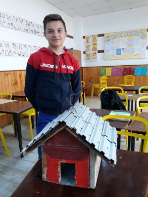 Stănescu Robert, Ivești