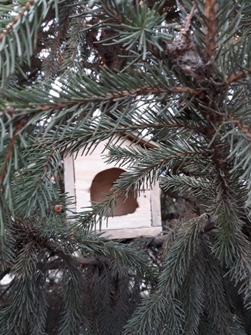 Vespan Mihaela, Poiana