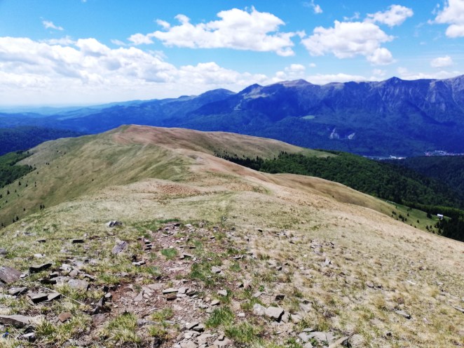 Fig. 10 - Culmea Cumpătu