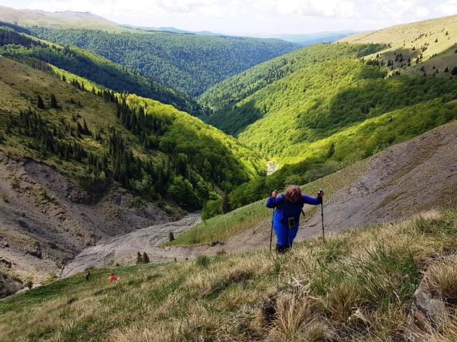 Fig. 9 - În urcuș către Culmea Cumpătu. Valea Rea rămâne mult mai jos
